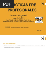 Diapo Practicas Pre-Profesionales Juan Marcos