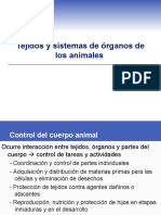 Animales: Tejidos y Sistemas de Órganos Homeostasis