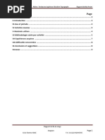 Rapport Du Mini Projet