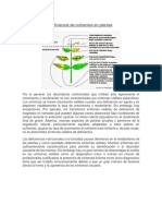 Deficiencias de Nutrientes en Las Plantas