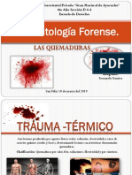 Traumatología Forense 