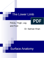 Lower Extremity