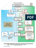 Animal Bite Flowchart