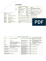 Table of Lower Limb Muscles