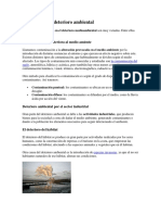 Problemas Del Deterioro Ambiental