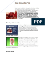 Clases de Aborto