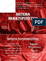 Sistema Hematopoyetico