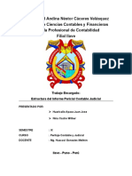 Estructura de Informe Pericial Contable Judicial