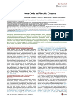 Review: Mesenchymal Stem Cells in Fibrotic Disease