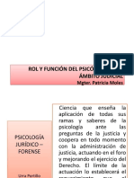 ROL Y FUNCIÓN Del Perito