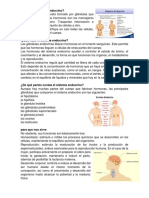 Sistema Endocrino