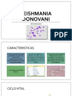 Leishmania Donovani - PARASITO