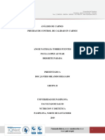 Informe Analisis Carnes