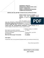 Liquidación de Pensiones Alimenticias Devengadas