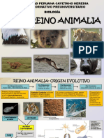 Reino Animalia PDF