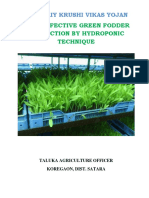 2016122954HYDROPONIC - Green Fodder - (Karad Satara)