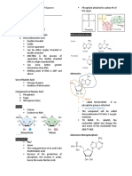 Central Dogma Reviewer