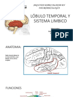 Lobulo Temporal