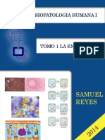 Morfofisiopatologia I UNIDAD I Samuel Reyes