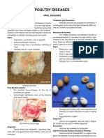 Poultry Diseases