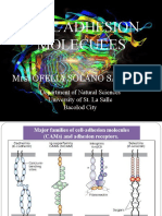 Cell Adhesion Molecules: Mrs. Ofelia Solano Saludar