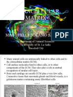 Extracellular Matrix: Mrs. Ofelia Solano Saludar