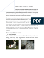 Caracteristicas de La Raza de Los Conejos Carne - Pelo y Productores de Piel