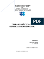 Gerencia Organizacional