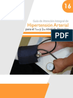 GTM D1 GuiaHIPERTENSIONARTERIAL