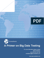 Primer On Big Data Testing