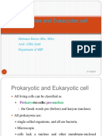 Prokaryotes and Eukaryotes Cell: Habtamu Biazin (BSC, MSC) Aau, CHS, Som Department of Mip