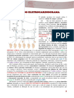 Bases Do Eletrocardiograma