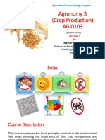 Crop Production 1