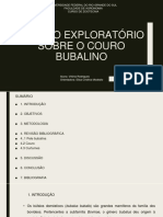 Estudo Exploratório Sobre o Couro Bubalino