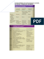 TEMA Interacción Del Metabolismo Intermedio Por Acción de Insulina