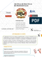 Informe Final - PPP