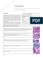 Glomerulopatía Colapsante: Introducción