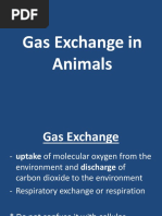 Gas Exchange in Animals