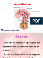 Vascular Embrio Clase