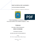 Tesis Milagros Sanches PDF