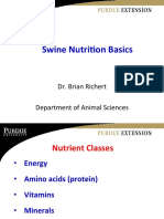 Swine Nutrition Basics