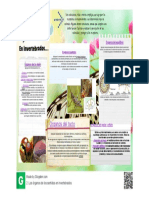 Los Órganos de Los Sentidos en Invertebrados PDF