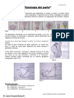 Fisiologia Del Parto Exelente-1