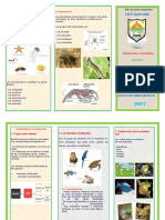 Triptico Vertebrados e Invertebrados