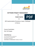 A Term Paper: Software Project Management