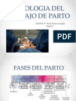 Fisiologia Del Trabajo de Parto