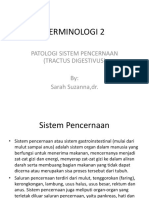 TERMINOLOGI 2 ST - Pencernaan