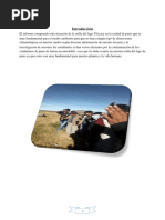 Informe Bahia Del Lago Titicaca Puno PDF