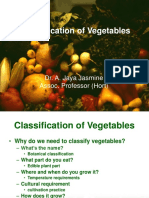 Vegetable Classification