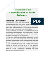 Metabolismo de Carbohidratos en Vacas Lecheras